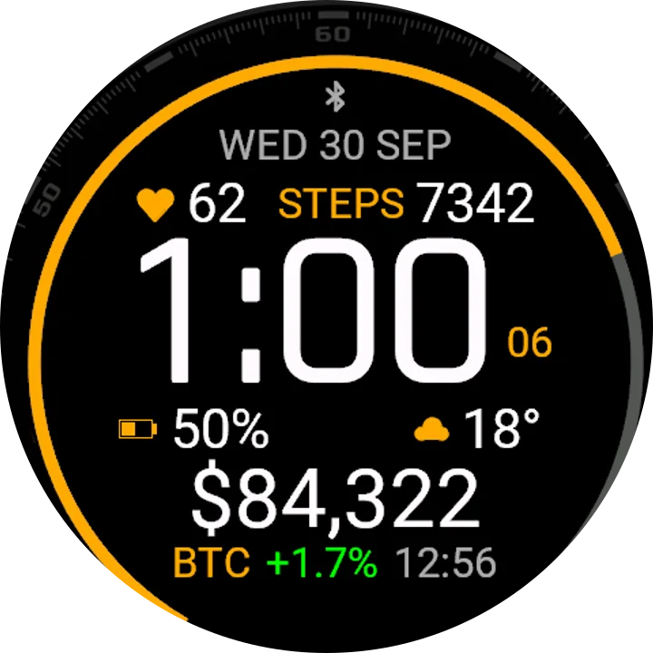 BitcoinLive, Garmin